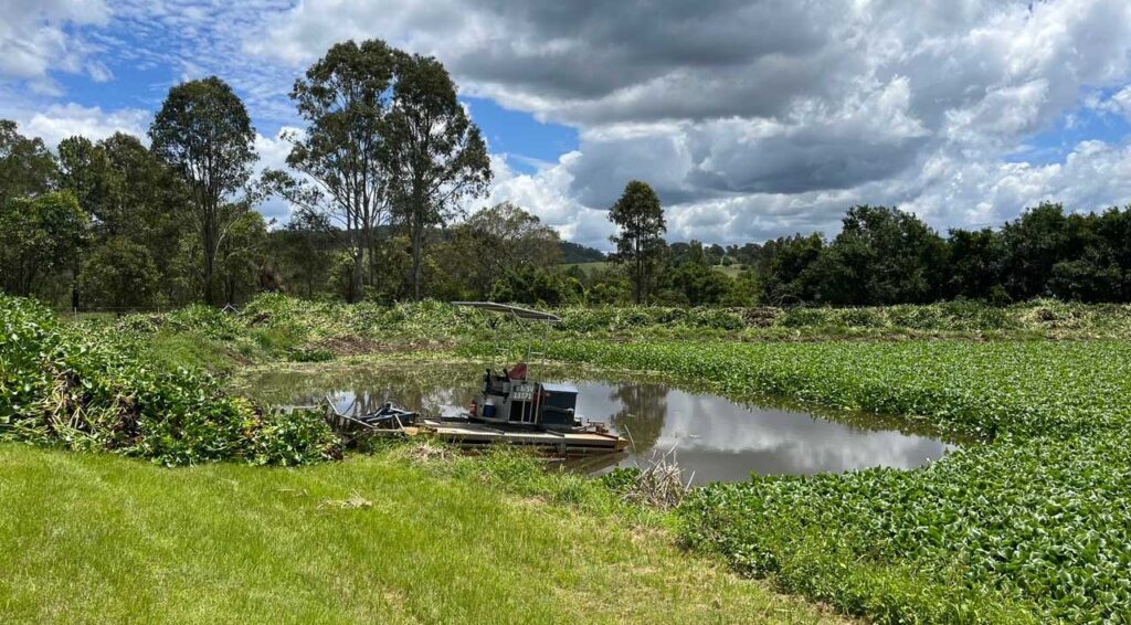 Sunshine Coast Aquatic Weed Harvesting – Aquatic Weed Control – Sunshine Coast Aquatic Weed Harvesting