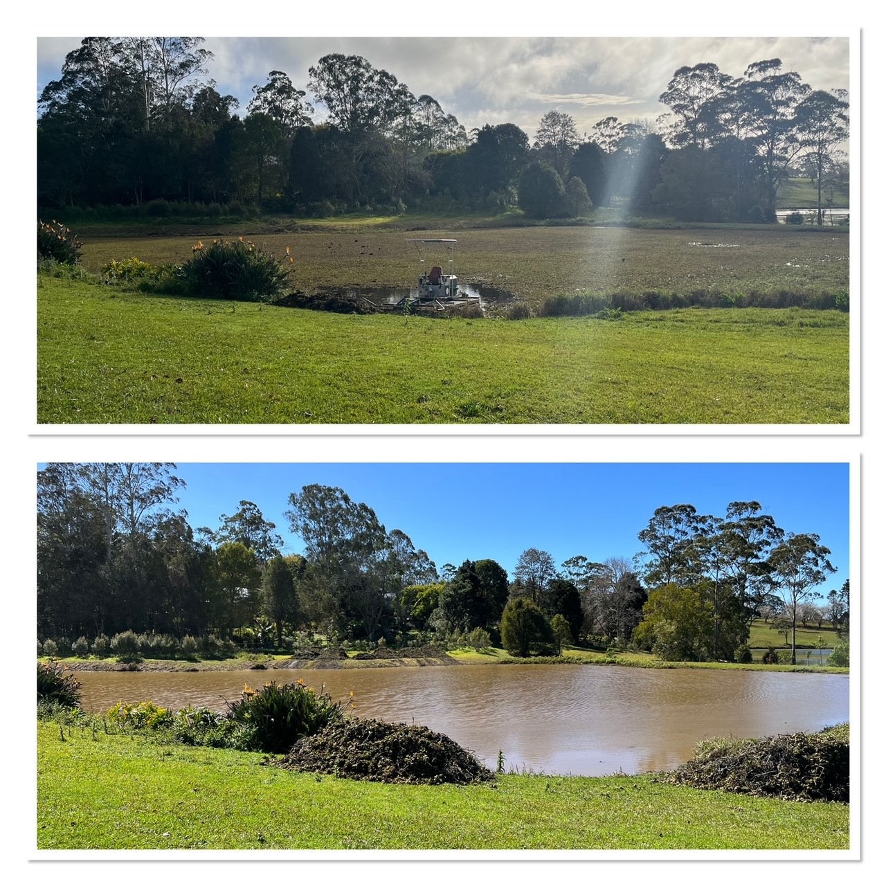 Sunshine Coast Aquatic Weed Harvesting – Aquatic Weed Control – Sunshine Coast Aquatic Weed Harvesting